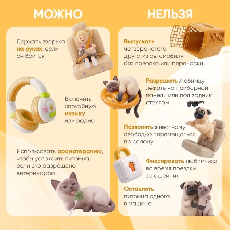 Коллеги из Министерства транспорта и дорожного хозяйства создали информативные карточки о путешествиях с животными Коллеги из Министерства транспорта и дорожного хозяйства создали информативные карточки о путешествиях с животными