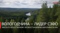 Георгий Филимонов: Вологодская область — лидер Северо-Запада России по искусственному лесовосстановлению