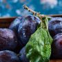Как спасти сливу: советы по борьбе с гниением веток