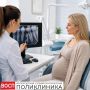 Можно ли делать рентген зубов во время беременности? Отвечают врачи Вологодской областной стоматологической поликлиники