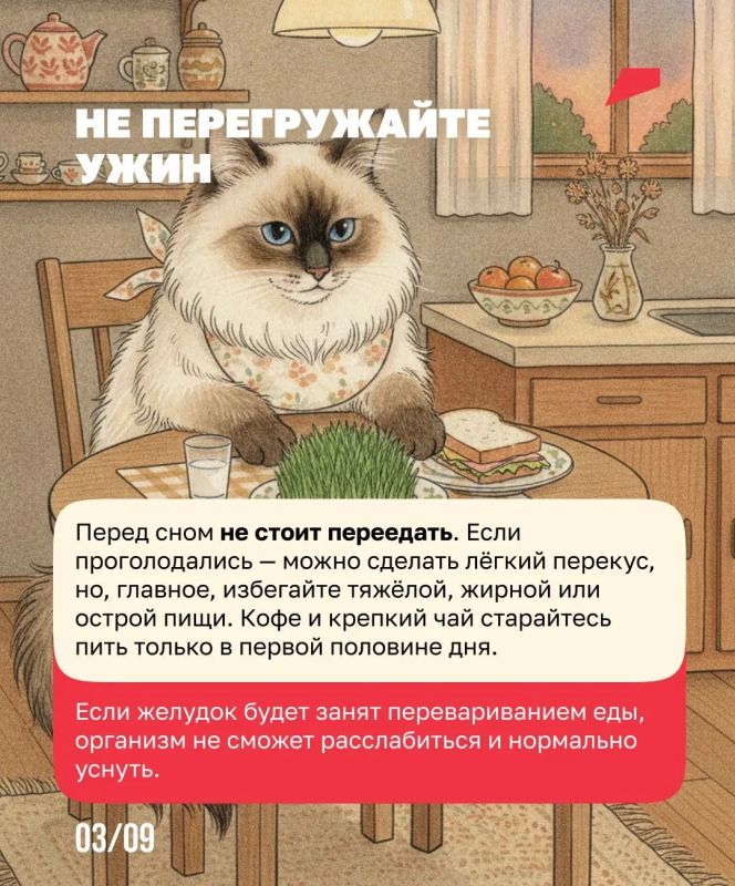 Сон как лучшее лекарство от стресса Сон как лучшее лекарство от стресса