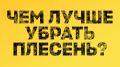 Плесень в доме: народные средства против химии