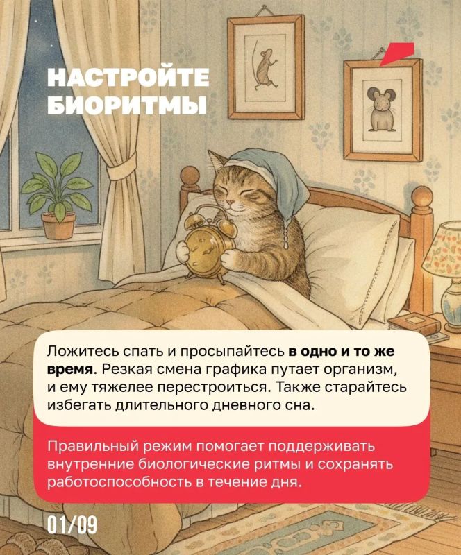 Сон как лучшее лекарство от стресса Сон как лучшее лекарство от стресса