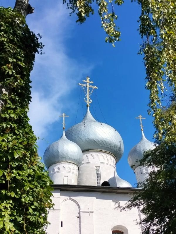 Прекрасный летний Белозерск в объективе талантливых операторов и корреспондентов ВЕСТИ35.РФ Прекрасный летний Белозерск в объективе талантливых операторов и корреспондентов ВЕСТИ35.РФ