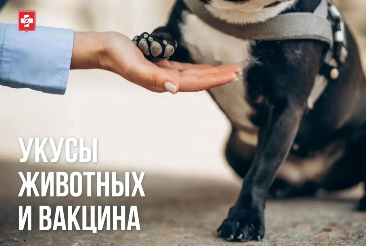 В весенне-летний период в травматологический пункт Областной детской больницы № 2 обратились 150 несовершеннолетних пациентов с повреждениями, полученными при контакте с животными
