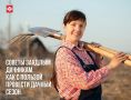 Как провести дачный сезон без неприятных сюрпризов