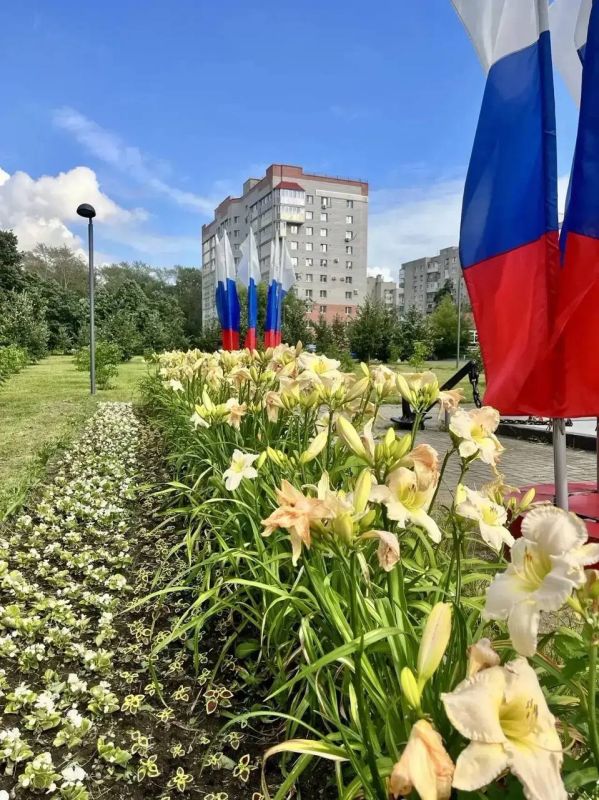 Андрей Накрошаев: Череповец в цвету: более 400 тысяч цветов украшают город этим летом Андрей Накрошаев: Череповец в цвету: более 400 тысяч цветов украшают город этим летом