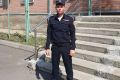 В Великом Устюге спасли девочку и ее отца, которые тонули в реке Сухоне