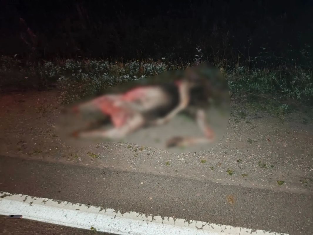 В Бабушкинском округе в результате ДТП погиб 17-летний молодой человек В Бабушкинском округе в результате ДТП погиб 17-летний молодой человек