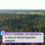 Пять человек потерялись в лесу в Вологодском округе