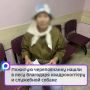 Пожилую череповчанку нашли в лесу благодаря квадрокоптеру и служебной собаке