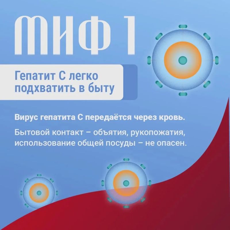 Мифы о гепатите С. Сегодня в нашей рубрике — вся правда об этой болезни Мифы о гепатите С. Сегодня в нашей рубрике — вся правда об этой болезни