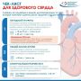 3 исследования, которые спасут ваше сердце: липидный профиль, ОАК и ЭКГ