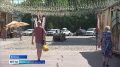 ������ ������������ ��������-���������� ����������� �������� � ����������� �������