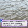 Следователи устанавливают личность череповчанина, утонувшего в реке Ягорбе