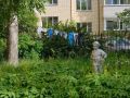 Вологодские дворы полны сюрпризов