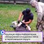 ������� ���������������� ���������� ���������� ���� � ������������ ������
