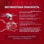 Напоминаем!
