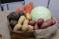 Экспорт вологодского АПК вырос почти на треть за семь месяцев 2026 года