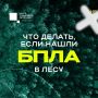 Важная памятка для отдыхающих на природе