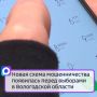 Новая схема мошенничества появилась перед выборами в Вологодской области