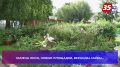 Почти 800 окон и 48 веранд заменили в этом году в череповецких образовательных учреждениях