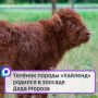������ ������ ������� ������� � ������� ���� ������ � ������� ������