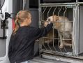 В Вологодской области полицейские и общественники провели для детей интерактивное профориентационное мероприятие