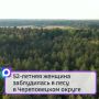52-летняя женщина заблудилась в лесу в Череповецком округе