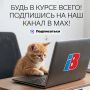 �������������� �� ������� ������ | 35�� � ����