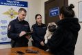 Вологжанка после застолья украла мопса уснувшей подруги