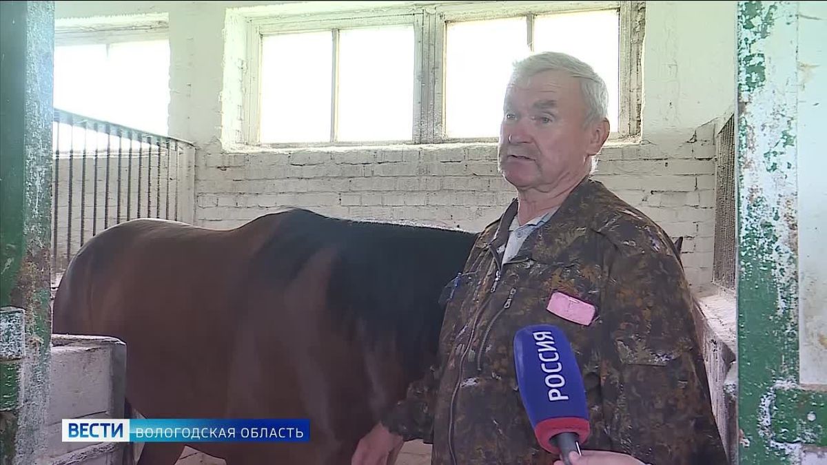 Конная тройка из Вологодской области стала победителем Всероссийских соревнований