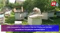 «К пчелам - с душой»: пятое поколение пчеловодов Кудряшовых разводит ульи в д. Лютчик под Шексной