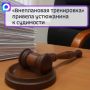«Внеплановая тренировка» привела устюжанина к судимости