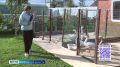 Сезон плановой вакцинации от птичьего гриппа стартовал в Вологодской области