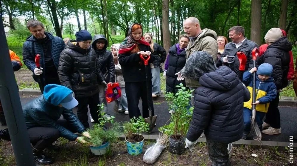 Андрей Накрошаев: В Череповце в 2026 году высадили 5,5 тысяч деревьев и кустарников и провели более 3 тысяч экологических мероприятий Андрей Накрошаев: В Череповце в 2026 году высадили 5,5 тысяч деревьев и кустарников и провели более 3 тысяч экологических мероприятий