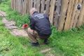 Верховажанин застрелил соседа из обреза охотничьего ружья и спрятался в лесу