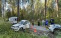 Двое молодых людей погибли в ночном ДТП под Череповцом