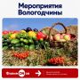 Проект #ФилимONов собрал события Вологодчины в четыре сезона туризма