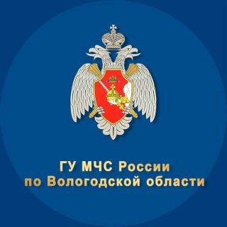 Трое «потеряшек» благополучно вернулись домой