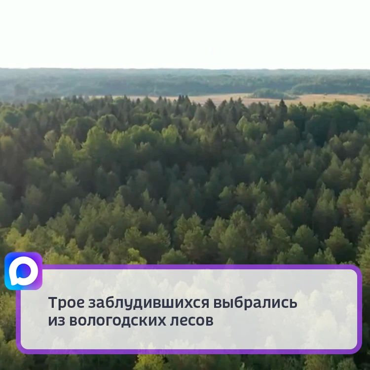 Пенсионерка из Сокольского округа, пропавшая два дня назад, смогла самостоятельно выйти к людям
