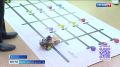 Обновлённые кабинеты физики и информатики начали работать в Вологодском многопрофильном лицее