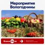 Проект #ФилимONов продолжается