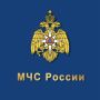 В Череповецком округе в лесу ищут трёх человек