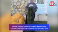 В Вологодском округе вырастили тыкву весом 260 килограммов и кабачок-великан