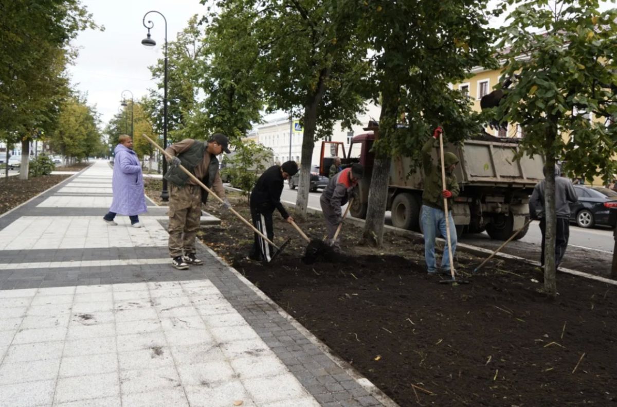Аллея на улице Мира в Вологде преобразится к концу сентября Аллея на улице Мира в Вологде преобразится к концу сентября