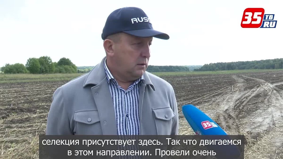 В Вологодском округе началась уборка урожая картофеля