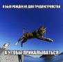 Это чистая правда.. Доброе утро!