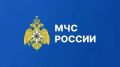 Средства индивидуальной защиты органов дыхания появятся в свободной продаже