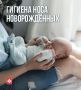 Утренняя гигиена носа малыша: нужна ли она каждый день?